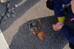 IMG-20240913-WA0014